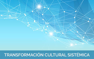 Transformación Cultural Sistémica, Una experiencia práctica de Transformación Cultural