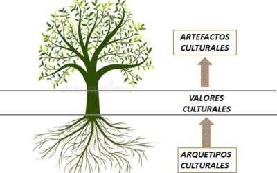 Plan de cultura organizacional y proceso de transformación cultural